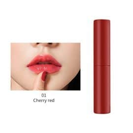 6 Colors Lip Cheek liquid Blush AXW-6CL