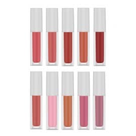 10 Colors Velvet Lip Gloss AXW-10G