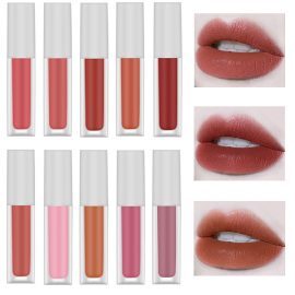 10 Colors Velvet Lip Gloss AXW-10G